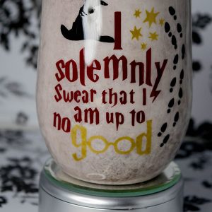 I Solemnly Swear that I am up to no Good Tumbler